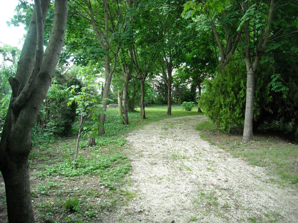 B&B Corte Bezzetti Volta Mantovana Exterior foto